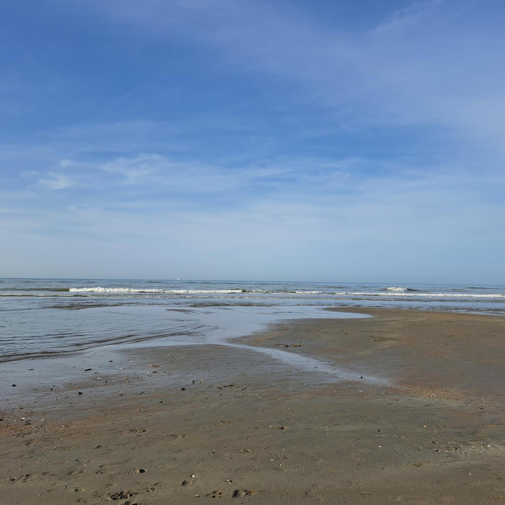 Dunehuys Koksijde Dış mekan fotoğraf